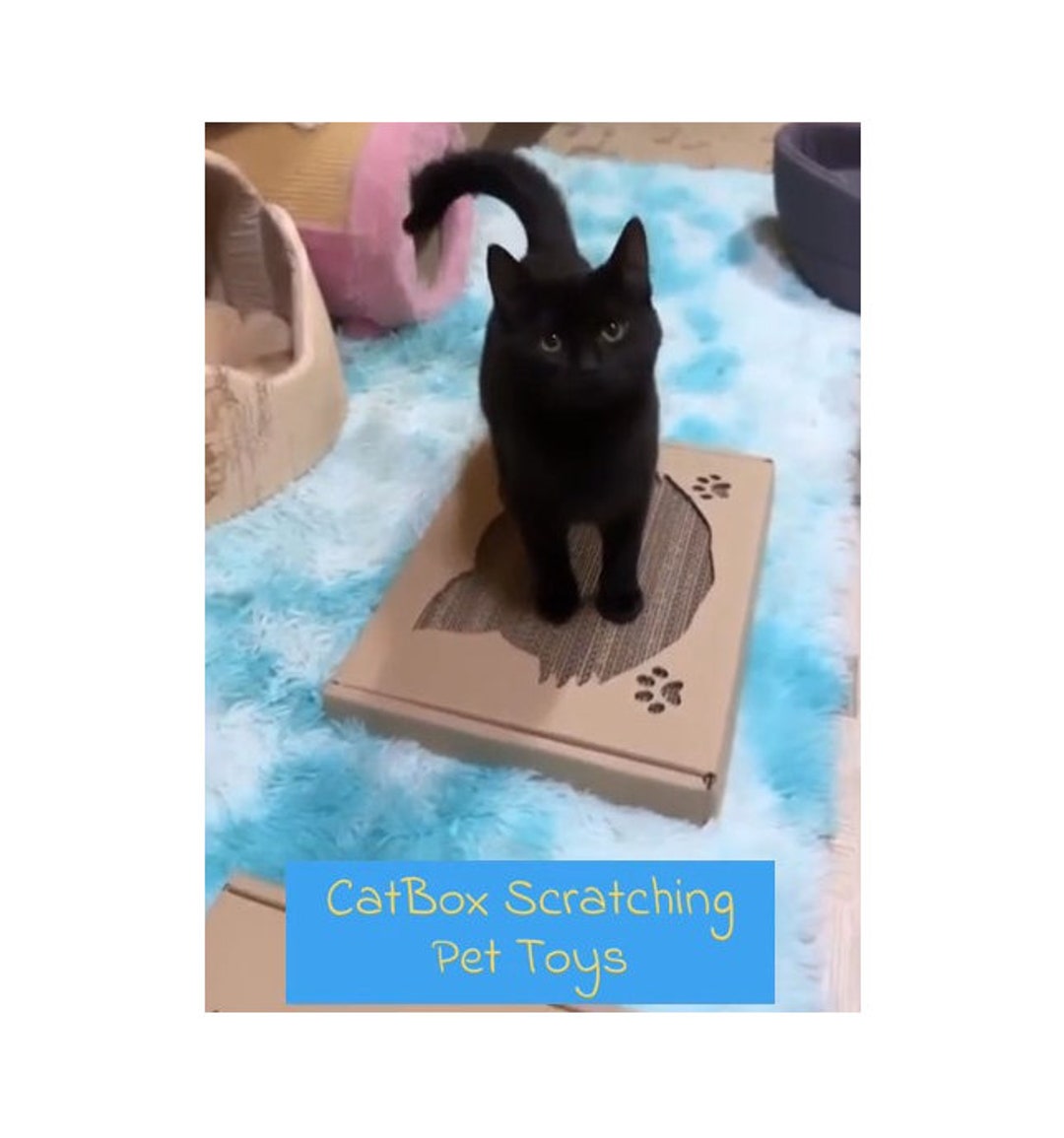 Catbox Scratching Post Toy Pet Cardboard Furniture Etsy