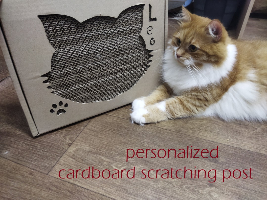 Personalized Scratching Post Catbox Toy Pet Cardboard Etsy