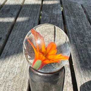 Orange Lily Implosion Marble | Handmade  Pyrex Borosilicate Glass