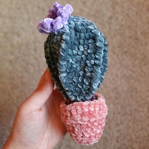 CROCHET PATTERN Velvet Potted Flowering Cactus Amigurumi Pattern Crochet Stuffed Plant Crochet Toy Succulent Digital Download PDF Cacti