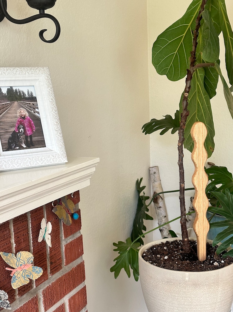 Beaded Plant Stick | Oak Plant Support, Home Decor - Etsy