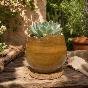 Handmade Ceramic Flower Pot with Pedestal Base | Wheel Thrown Planter with Drainage Hole | Small Stoneware Succulent Pot | Pottery pot