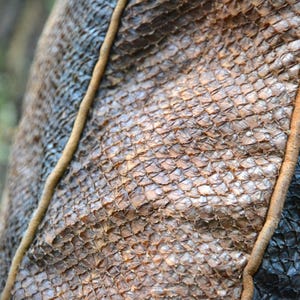 Hand Tanned Natural Salmon Fish Leather | Brown / Oak