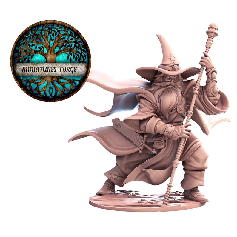 dnd sorcerer miniature