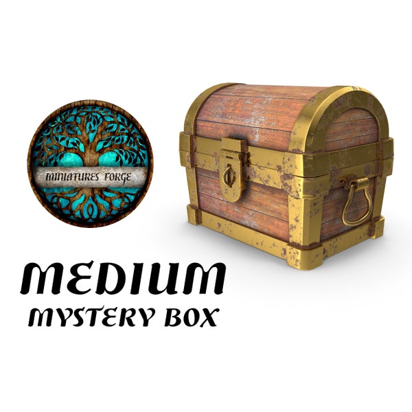 Medium mystery miniature box - | Dungeons and dragons mini | tabletop