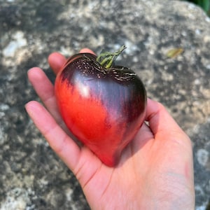 May include: A heart-shaped tomato with a dark purple and red skin. The tomato is being held in a person's hand.