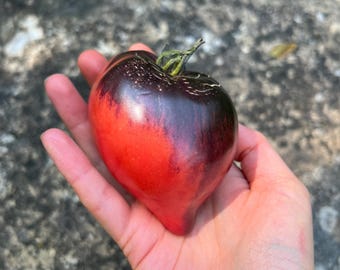 Sgt. Peppers Tomato Seeds with Illustration- Non-GMO Ox-Heart Shaped Tomatoes