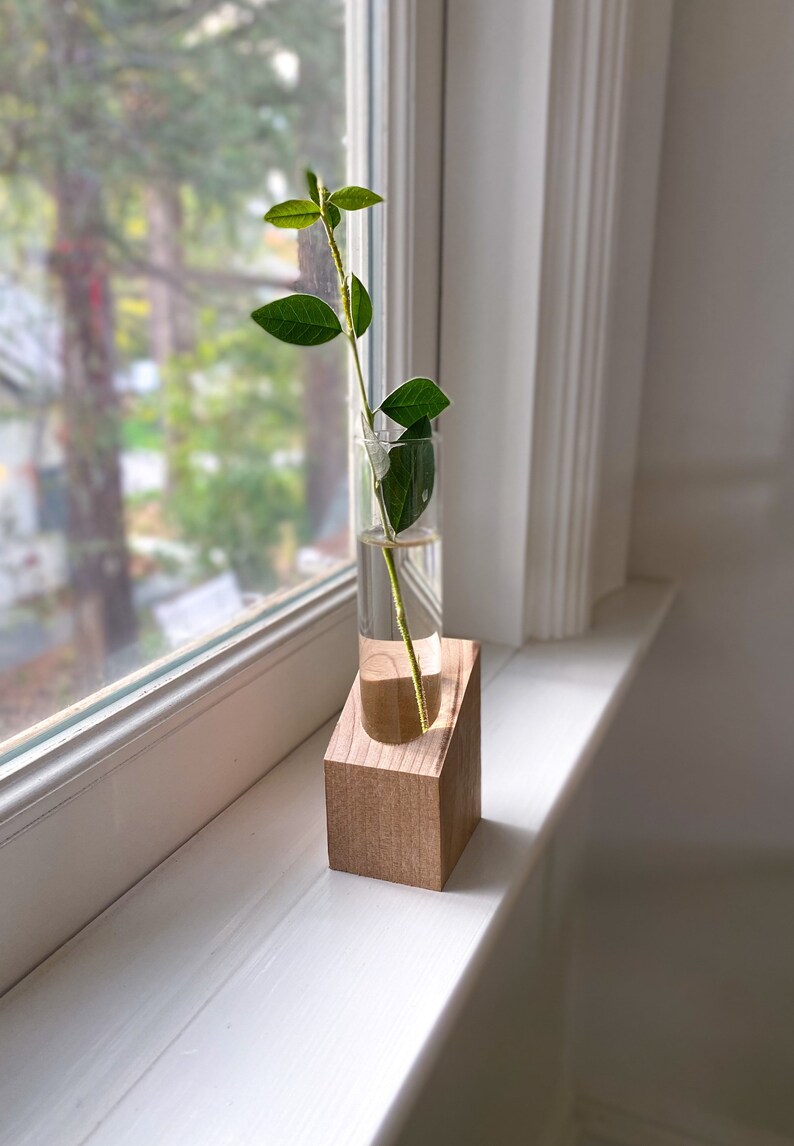 Modern Propagation Station with Test Tube Plant