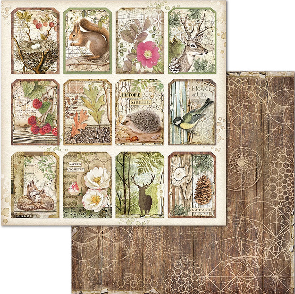 Stamperia Forest Scrapbook Paper Pad 12x12 Cardstock Etsy
