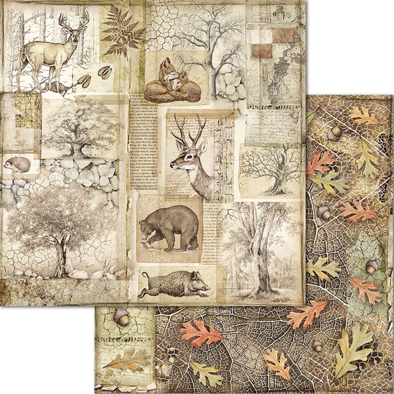 Stamperia Forest Scrapbook Paper Pad 12x12 Cardstock Etsy