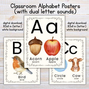 Puede incluir: Carteles del alfabeto para el aula con sonidos de letras dobles. Los carteles presentan las letras A, B y C, cada una con una ilustración: una bellota, una manzana, un pájaro, un círculo y una vaca. También se incluye el texto "descarga digital 8.5x11 in (carta) fondo blanco".