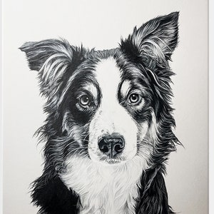 pet drawing l Dog Drawing l Custom Dog Sketch l Custom Pet Portrait l 100% Hand drawing l Black and White