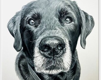 Commission Pet drawing, 100% Hand drawing, Custom Pet sketch, Pet drawing Custom, Black and White