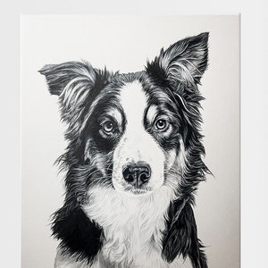 Personalized Pet Drawing – High-Quality Hand-Sketched Pet Portrait/Custom Pet Portrait – Realistic Hand-Drawn Illustration