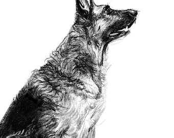 Custom Dog Sketch from Photo, German Shepherd Sketch Portrait, Simple Pet Portrait, Hand Drawn Dog Drawing