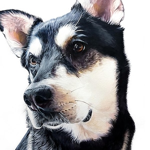 Retrato de mascota personalizado a partir de una foto, retrato de perro pintado a mano, regalo de arte personalizado para mascotas