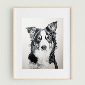 Pet portrait sketch, Dog Drawing, Custom Dog Sketch, Custom Pet Portrait, 100% Hand drawing, Black and White