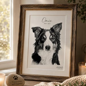 Custom Dog Drawing from Photo, Hand Drawn Dog Portrait, pet portrait from photo, Dog Lover Gift