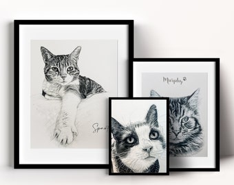 Pet portrait sketch, Cat Drawing, Custom Cat Sketch, Custom Cat Portrait, 100% Hand drawing, Black and White