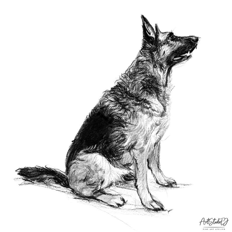 Custom Dog Sketch from Photo, German Shepherd Sketch Portrait, Simple Pet Portrait, Hand Drawn Dog Drawing image 1