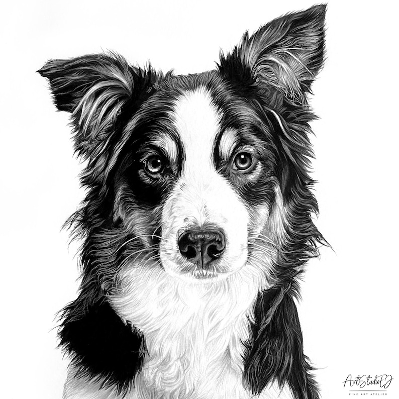 Hand Drawn
Pet Portrait