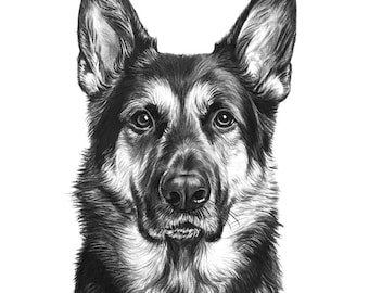 Custom Dog Portrait from Photo, German Shepherd Drawing, Hand Drawn Pet Portrait, Dog Memorial Portrait, Personalized Pet Art