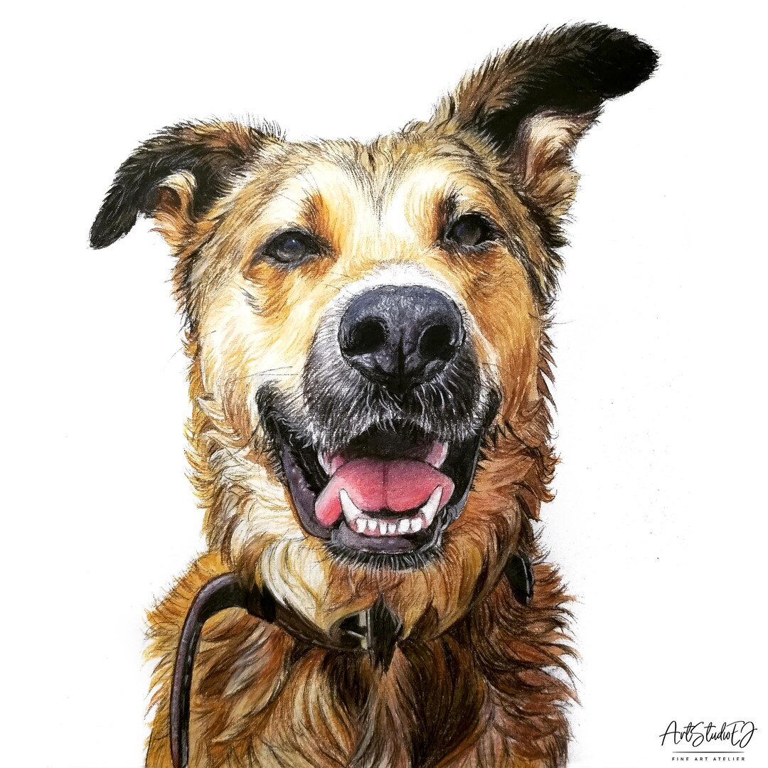 Hand Drawn Pet Portrait From Photo, Custom Dog Portrait, Personalized ...