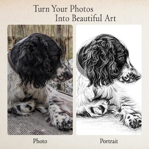 Custom Dog Sketch from Photo, German Shepherd Sketch Portrait, Simple Pet Portrait, Hand Drawn Dog Drawing image 2