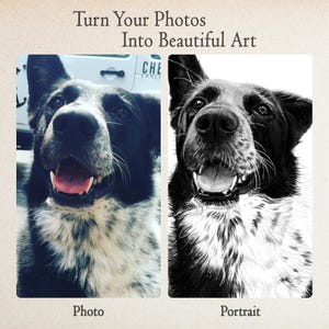 Custom Dog Drawing from Photo, Hand Drawn Dog Portrait, Personalized Pet Portrait, Dog Lover Gift Bild 2