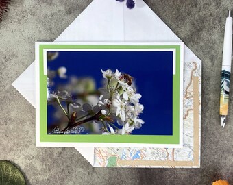 Bradford Pear Flower Greeting Card, Bee on Blossoms, Map Lined Envelope