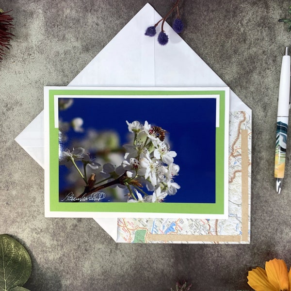 Flower and Bee Greeting Card, White Blooming Bradford Pear Flower Greeting Card, Bees on Flowers Card, Map Lined, Recycled Paper Envelope