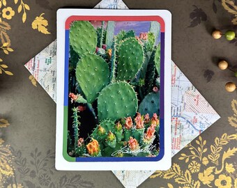 Cactus Bloom Photo Greeting Card, Upcycled Map Envelope, Prickly Pear