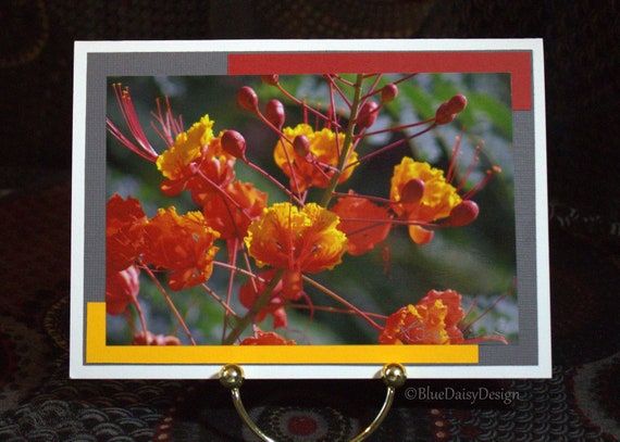 Bird Of Paradise Flower Blank Greeting Card With Envelope 