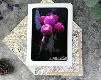 Desert Pink Cactus Photo Card, Nopal Fruit, Recycled Map Envelope