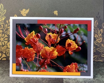 Desert Bird of Paradise Photo Card, Handmade Upcycled Envelope