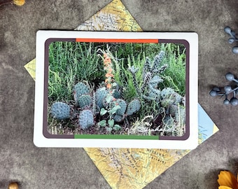 Cactus Desert Photo Greeting Card, Southwest Bloom Print, Up-cycled Map Envelope