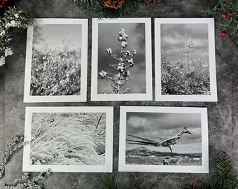 Snowy Desert Photo Greeting Cards, Handmade Envelopes, Set of 5, Southwest Landscapes