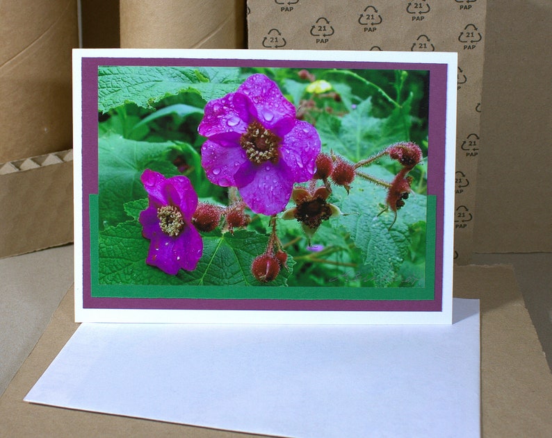 Purple Wild Rose Flower Photo Card Rose Lover Gardeners Gift Etsy