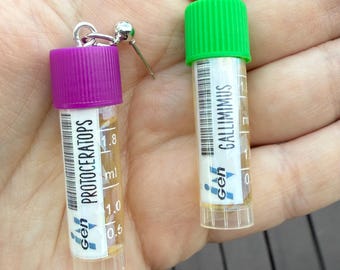 Dinosaurs, Dino, Dino dna, dna, Jurassic, dangle earrings
