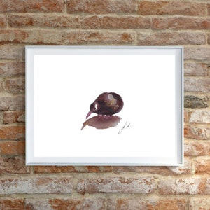 Original New Zealand Kiwi Downloadable Print