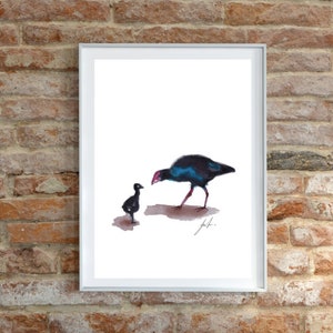 Original Neuseeland Pukeko digital herunterladbare Druck