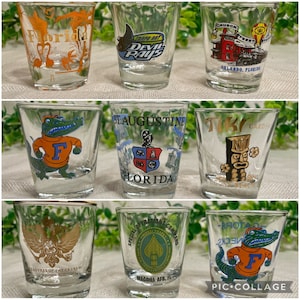 Vintage Florida Souvenir Travel Shot glasses Florida Gators, St Augustine Tiki Gardens Devil Rays Orlando Treasures of the Czars MACDILL AFB
