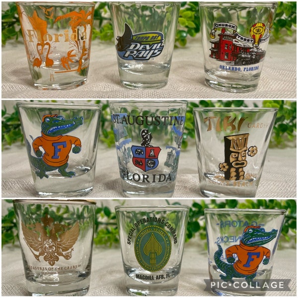 Vintage Florida Souvenir Travel Shot glasses Florida Gators, St Augustine Tiki Gardens Devil Rays Orlando Treasures of the Czars MACDILL AFB