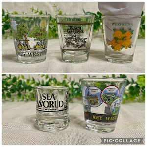 Vintage Florida Souvenir Shot Glasses Key West, Bush Gardens, Florida Oranges, Sea World Shamu,