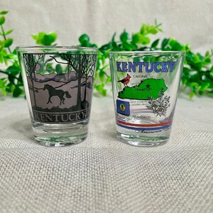 Vintage Kentucky, State Bird Cardinal, State Flower Goldenrod, 15th State, Kentucky State Fun FactsSouvenir Travel Shot Glasses