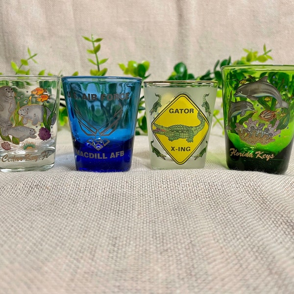 Vintage Florida, Cedar Key, US Air Force MACDILL AFB, Gator X-ing, Florida Keys, Souvenir Travel Shot Glasses