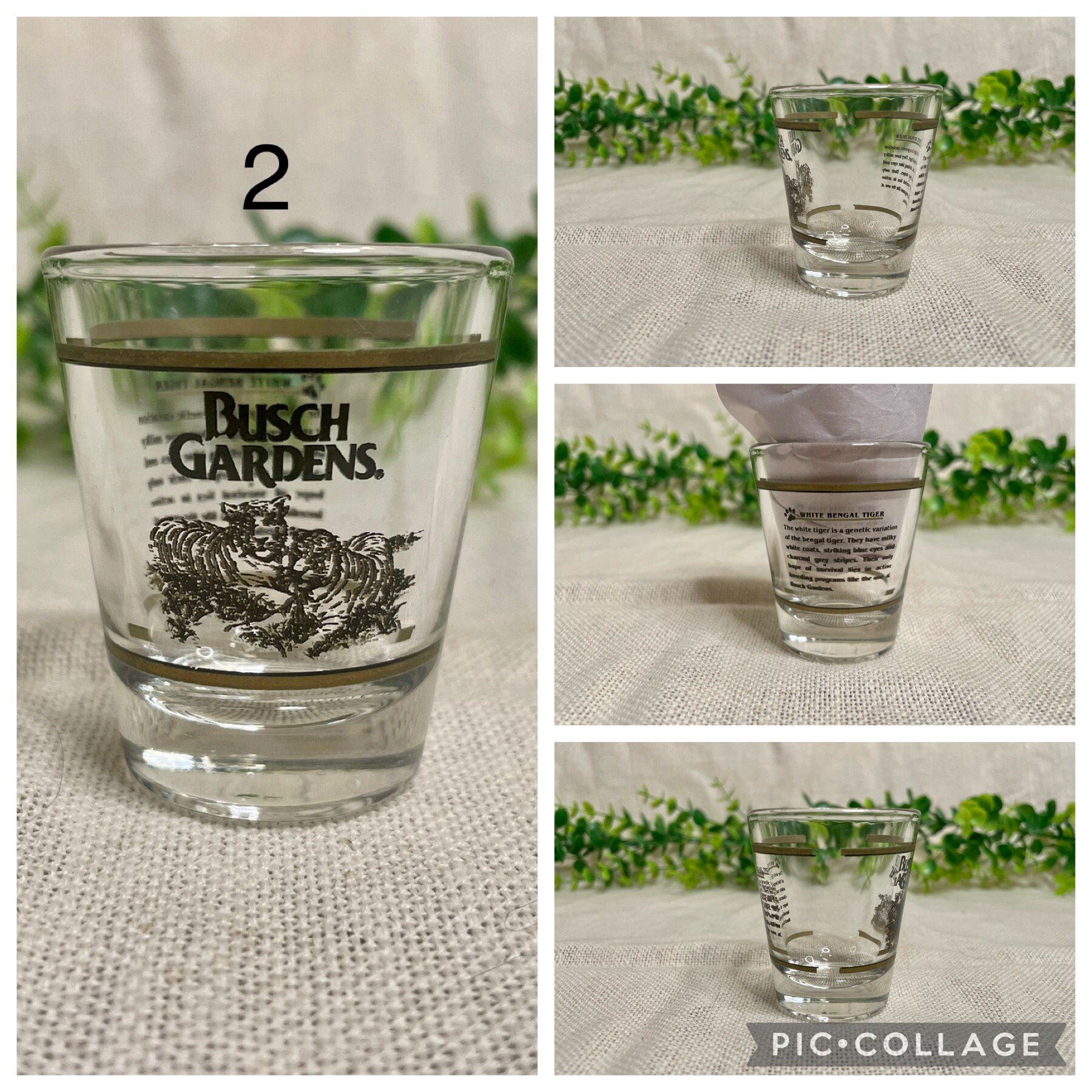 World By Shotglass Key West Kaffeetasse – 510 Ml, Sammlerstück Mit Florida-Motiv