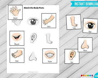 match the body parts printable worksheet busy book etsy
