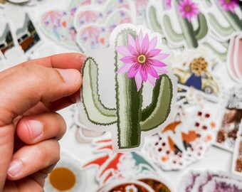 Cactus Flower Clear Sticker | Waterproof Vinyl Decal