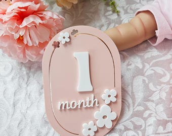 Personalized Acrylic Baby Monthly Milestone Markers, Floral Discs